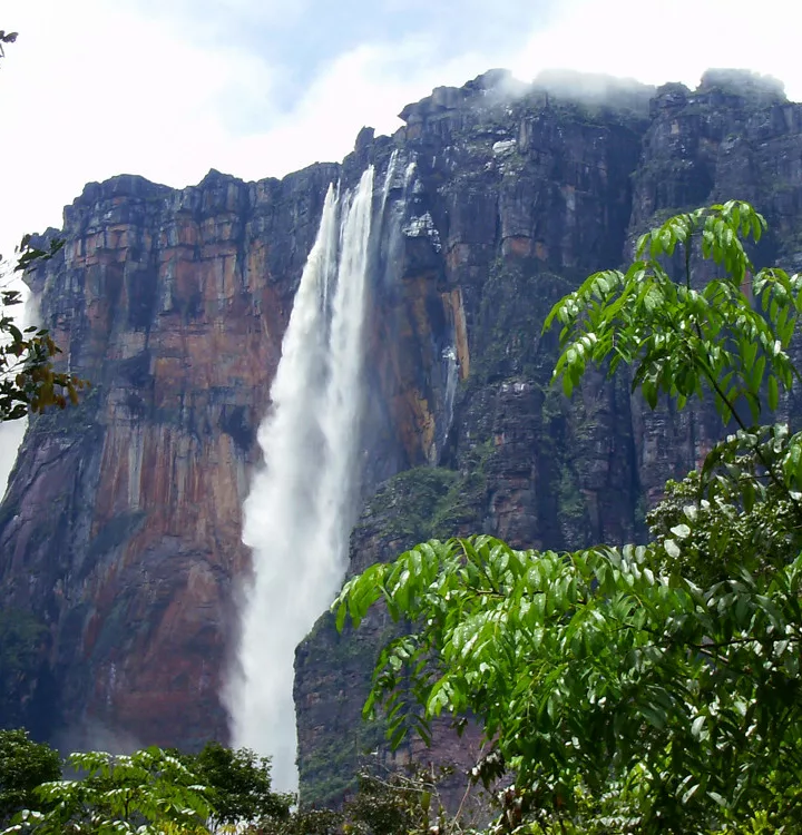 The Amazing Wildlife of Canaima National Park in Venezuela