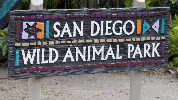 discover san diego zoo a must visit for animal lovers 2