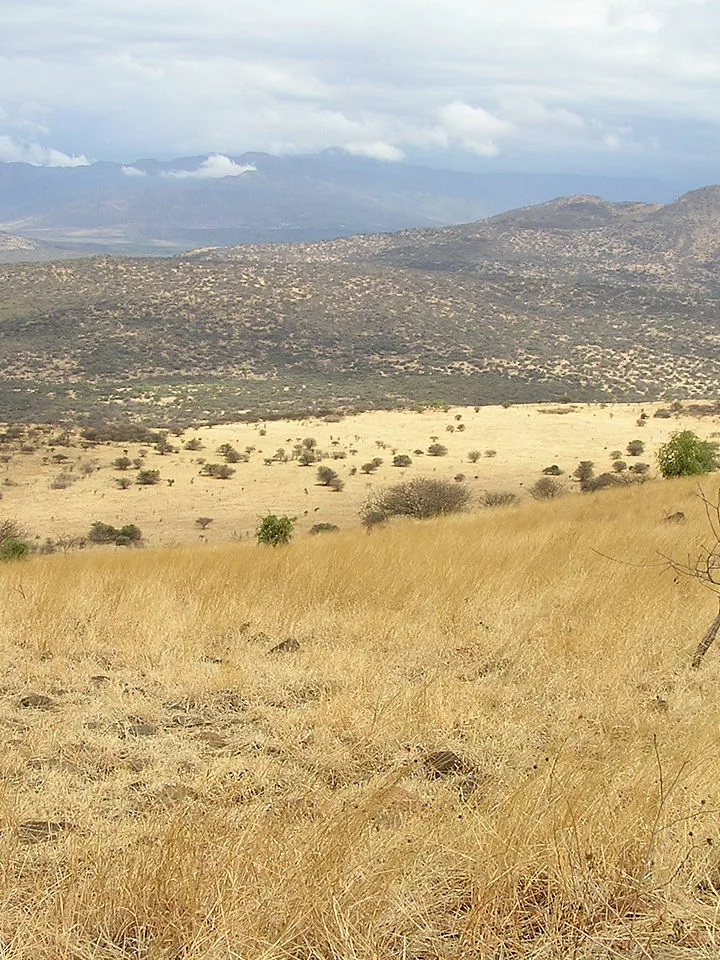 The Fascinating Wildlife of Nechisar National Park in Ethiopia