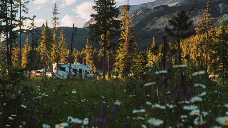 Banff National Park: Canada's Stunning Wildlife 8 banff national